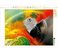 CALVENDO Puzzle Mein Bunter Papagei 1000 Teile Puzzle quer 1000 Pieces 64 x 48 cm from Peter Roder