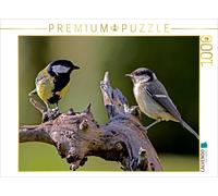 CALVENDO Puzzle Nichons en Conversation 1000 Pieces 64 x 48 cm from Karin Dietzel