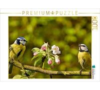 CALVENDO Puzzle Mélodie printanière de la mésange Bleue 1000 Pieces 64 x 48 cm from Lutz Klapp
