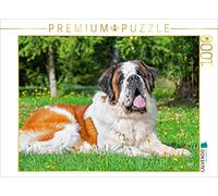 CALVENDO Puzzle Même en couchant Un géant 1000 Pieces 64 x 48 cm from Sista-Tierfoto