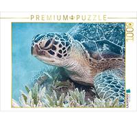 CALVENDO Puzzle Mer Rouge Egypte 1000 Pieces 64 x 48 cm from Sven Gruse