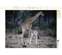 CALVENDO Puzzle Mère Girafe avec Son Enfant 1000 Pieces 64 x 48 cm from Michael Herzog