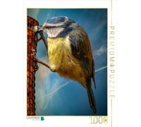 CALVENDO Puzzle Mésange Bleue 1000 Pieces 48 x 64 cm from Peter Roder