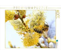 CALVENDO Puzzle Messagère du Printemps - Abeille à Miel pollinisant Un Chaton de Saule. 1000 Pieces 64 x 48 cm from Verlag