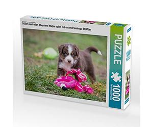 CALVENDO Puzzle Mignon Chiot Berger Australien Jouant avec Une Peluche de Flamant Rose 1000 Pieces 64 x 48 cm from Verena Scholze