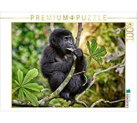 CALVENDO Puzzle Mignon Petit Gorille de Montagne, Gorille béringei bwindi, Parc National impénétrable Bwindi, Ouganda, Afrique 1000 pièces, Taille de la Pose 64 x 48 cm
