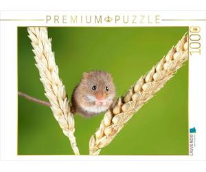 CALVENDO Puzzle Mignonne Souris naine en équilibre Entre Deux épis de maïs. 1000 Pieces 64 x 48 cm from Verlag