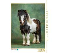 CALVENDO Puzzle Miniature pony photo in studio with green background | 1000 piec