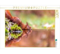 CALVENDO Puzzle Mirror squirrel | 1000 pieces, finished size 25.2 × 18.9 in (64