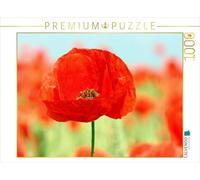 CALVENDO Puzzle Mohnblumen-EIN Traum in Rot 1000 Teile Puzzle quer 1000 Pieces 64 x 48 cm from SchnelleWelten