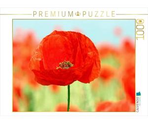 CALVENDO Puzzle Mohnblumen-EIN Traum in Rot 1000 Teile Puzzle quer 1000 Pieces 64 x 48 cm from SchnelleWelten
