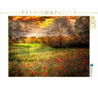 CALVENDO Puzzle Mohnblumen in einem Getreidefeld 1000 Teile Puzzle quer 1000 Pieces 64 x 48 cm from Peter Roder