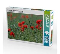 CALVENDO Puzzle Mohnblumen - Pure Faszination in Rot 1000 Teile Puzzle quer 1000 Pieces 64 x 48 cm from Andrea Potratz.