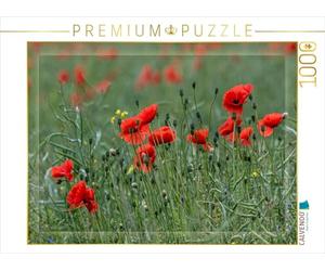 CALVENDO Puzzle Mohnblumen - Pure Faszination in Rot 1000 Teile Puzzle quer 1000 Pieces 64 x 48 cm from Andrea Potratz.