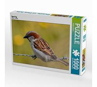 CALVENDO Puzzle Moineau 1000 Pieces 64 x 48 cm from Rolande