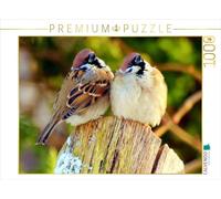 CALVENDO Puzzle Moineaux dans Le Gel matinal d'automne 1000 Pieces 64 x 48 cm from Dirk Stamm