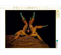 CALVENDO Puzzle Mombasa Vogelspinne 1000 Teile Puzzle quer | 1000 pieces, finish
