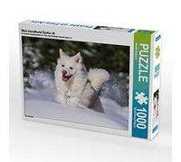 CALVENDO Puzzle Mon Chien islandais Djarfur (4) 1000 Pieces 64 x 48 cm from Monika Scheurer