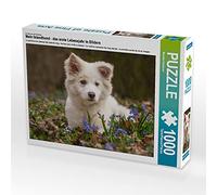 CALVENDO Puzzle Mon Chien islandais - la première année de Vie en Images 1000 Pieces 64 x 48 cm from Monika Scheurer