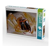 CALVENDO Puzzle Morsure d'araignée 1000 Pieces 64 x 48 cm from Elisabeth Stanzer