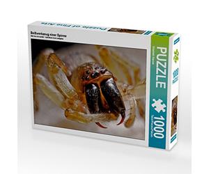 CALVENDO Puzzle Morsure d'araignée 1000 Pieces 64 x 48 cm from Elisabeth Stanzer