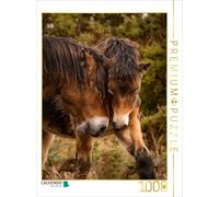 CALVENDO Puzzle Mother and son | 1000 pieces, finished size 25.2 × 18.9 in (64 ×