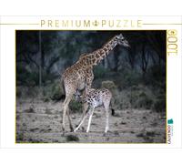 CALVENDO Puzzle Mère Girafe avec Son Enfant 1000 Pieces 64 x 48 cm from Michael Herzog