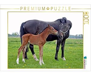 CALVENDO Puzzle Mother Love - Poulain et Jument mère 1000 Pieces 64 x 48 cm from Barbara Mielewczyk