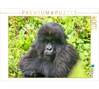 CALVENDO Puzzle Mountain gorilla baby, Rwanda | 1000 pieces, finished size 25.2