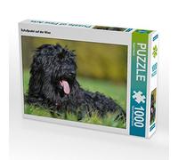 CALVENDO Puzzle Mouton Caniche sur Le Sage 1000 Pieces 64 x 48 cm from Sista-Tierfoto