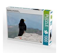 CALVENDO Puzzle Mouton des Alpes dans Les Dolomites 1000 Pieces 64 x 48 cm from Georg Niederkofler