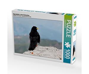 CALVENDO Puzzle Mouton des Alpes dans Les Dolomites 1000 Pieces 64 x 48 cm from Georg Niederkofler