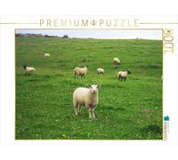 CALVENDO Puzzle Moutons 1000 Pieces 64 x 48 cm from Karsten Schröder