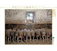 CALVENDO Puzzle Moutons à l'auge 1000 Pieces 64 x 48 cm from Patrice Thebault