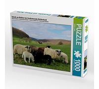 CALVENDO Puzzle Moutons au Meißner près de Großalmerode-Weißenbach 1000 Pieces 64 x 48 cm from Sabine Löwer