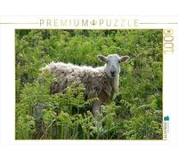 CALVENDO Puzzle Moutons dans la fougère 1000 Pieces 64 x 48 cm from SusaZoom