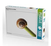 CALVENDO Puzzle Müde Schnecke am schlafen 1000 Teile Puzzle quer 1000 Pieces 64 x 48 cm from Tanja Riedel