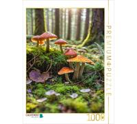 CALVENDO Puzzle Mushroom diversity in the forest light | 1000 pieces, finished s