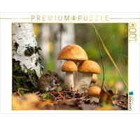 CALVENDO Puzzle Mushroom visit - red caps and mouse | 1000 pieces, finished size