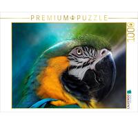 CALVENDO Puzzle Mon Perroquet coloré 1000 Pieces 64 x 48 cm from Peter Roder