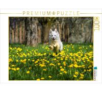 CALVENDO Puzzle My Island Dog Djarfur (3) | 1000 pieces, finished size 25.2 × 18