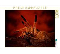 CALVENDO Puzzle Mystérieuses tarentules 1000 Pieces 64 x 48 cm from Horst Baderschneider