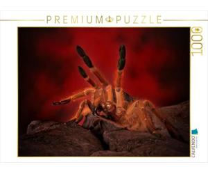 CALVENDO Puzzle Mystérieuses tarentules 1000 Pieces 64 x 48 cm from Horst Baderschneider