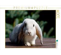 CALVENDO Puzzle Nain de Couleur 1000 Pieces 64 x 48 cm from Verena Scholze
