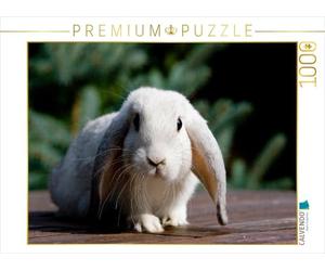 CALVENDO Puzzle Nain de Couleur 1000 Pieces 64 x 48 cm from Verena Scholze