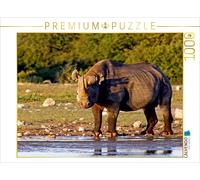 CALVENDO Puzzle Nashorn im Etosha NP, Namibia 1000 Teile Puzzle quer | 1000 Teil