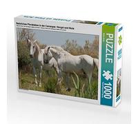 CALVENDO Puzzle Natürliches Pferdeleben in der Camargue: Hengst und Stute 1000 Teile Puzzle quer 1000 Pieces 64 x 48 cm from Meike Bölts