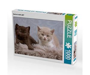 CALVENDO Puzzle Ne Sommes-Nous Pas Mignons ? 1000 Pieces 64 x 48 cm from Janina Bürger