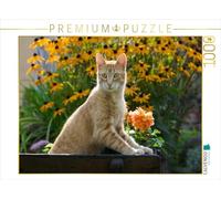 CALVENDO Puzzle Neugierige Rot getigerter Katze in einem blühenden Garten 1000 Teile Puzzle quer 1000 Pieces 64 x 48 cm from Katho Menden