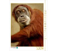 CALVENDO Puzzle Neugieriger Affe | 1000 Teile Lege-Größe 64 × 48 cm Foto-Puzzle